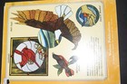 Sp58 Stained Glass Pattern Book  Birds Of North America  Vol 2  1995
