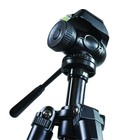 Celestron 82050 Trailseeker Tripod  Black