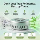 Hoopmon Upgraded Fridge Deodorizer - Advanced 1 Pack  Stainless Steel