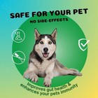 Medfly Healthcare Defender Pro Dewormer 10 Tabs For Dogs Of All Life Stages