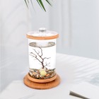 360   Rotate Transparent Eco Fish Tank Goldfish Aquarium Tank Desktop Ornament