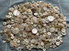 1 Lb Antique Vintage White Mop Buttons - Assorted Sizes - Old Lot