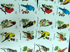 2014 Songbirds Flag Forever Stamps 4882   4891 5 Sheets Of 100 Pcs