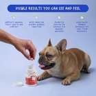 Cranberry Supplement For Dogs - Supports Urinary Tract   Bladder Health
