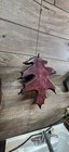 European Deer Skull Mount Plaque And Hanger Black Cherry Oak Leaf