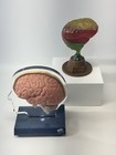 Sinequan   Imitrex Pharmaceutical Brain Drug Advertising Medical Displays