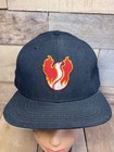 Phoenix Firebirds Cap Vintage Minor League New Era Pro Model Snapback Hat Nwot