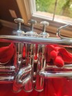 Used - Bach Omega Intermediate Bb Trumpet  silver 