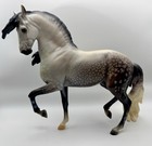 Breyer Traditional Anamar Amazigh Stallion 2022 Premier Collection 