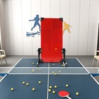 Rebound Board Ping Pong Self-study Exercise Table Tennis Return Trainer 60x33cm