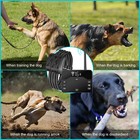 Electric Fence For Dogs 2 In 1 Wireless Dog Fence Collar Pet Containment System