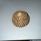 Nice Small Coushatta Pine Needle Lidded Basket Native American Basketry