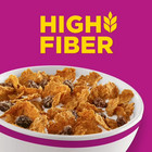 Kellogg   s Raisin Bran Breakfast Cereal  High Fiber  28g Whole Grain  Mega Size