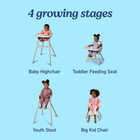 Graco Ready2dine 4-in-1 Highchair  Portable High Chair With 4 Growing Stages  Fo