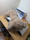 Vintage 1985 Huge Golden Lab Retriever Puppy Dog  muttsy  Gund Plush 30  Htf