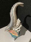     Rare Humpback Whale Premium Ale Beer Tap Handle Bar Kegerator