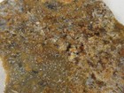 Dig-n-utah  Slab Salina Plume Agate Jasper Rough    J 269