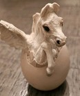 Windstone Editions Pegasus Hatchling Figurine White Fantasy Collectible