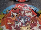 1966 Springbok Wood Puzzle Prize Dogs Shelfer Edition Large  incomplete