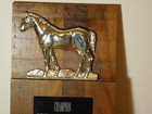 Vintage Horse Plaque 11  X 7  Champion Wcmhr World Championship Miniature