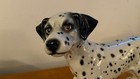 Vintage Goebel Large 15  Dalmatian Dog Figure W  Germany