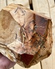 3 5 Lb Biggs Picture Jasper Lapidary Rough Cut From Biggs  Oregon