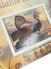 2020 - 2021 Us Federal Duck Stamp Post Office Unused Black Build Whistling Duck
