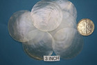 Capiz Seashells  3  Round beach Wedding seashell Ornaments upscale Shell Crafts
