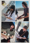 Brad Band Real Signed Best Friends Promo Poster  3 Coa Stone Gossard Pearl Jam