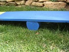 Dog Agility Mini Puppy Teeter   See Saw   Wobble Board