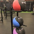 Titan Fitness Adjustable Medicine Ball Storage Tree  Holds 5 Med Balls