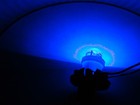 8volt 300ma T10 Led Wedge Lamp Fits Pioneer Others Color White