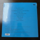 Weezer - Blue Album - Vinyl Record - New  Sealed Ships Free