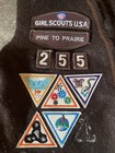 87 Vintage Girl Scouts Brownies Badges Patches Pins Vests Sash Lot 90 s