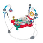 Baby Einstein Ocean Explorers Airplane Adventure Activity Jumper Lights Music