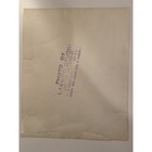 Sugar Ray Robinson - Collectible Vintage Photo -