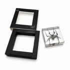 Spider Specimen Encased In Clear Resin Display Block With Black Gift Box