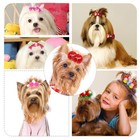100pcs Dog Hair Bows  Bulk Pet Small Dog Bows Girl With Rubber Bands  Tiny Do   