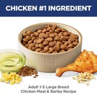 Hill s Science Diet Adult Large Breed Chicken Dry Dog Food 45-lb  No Import Fees