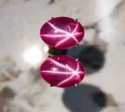 6 Rays Natural Red Star Ruby 20 Ct Oval Cabochon Certified Loose Gemstone