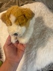 Russ Yomiko Classics Dog Puppy Plush Jack Russell Terrier  Puppy 11 l Realistic