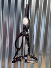 R a  Guthrie Sterling Silver Show Horse Halter   Yearling  Size
