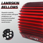 22 Key 8 Bass Accordion  Acordeones Para Adultos  Stable Pitch Hand Polished    