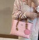 Mollie Tote Bag 25 In Signature Canvas With Charms Gold powder Pink Cer24