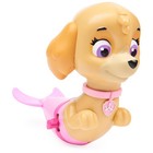 Swimways Paw Patrol Skye Floating Huggable  Quick Dry Water-friendly Pool Toy