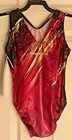 Cirque Du Soleil Cosmic Flash Child Large Holotek Sequinz Gymnastics Leotard Cl
