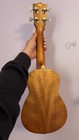 Brand New Kala Mahogany Ukulele  Case Included