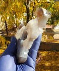 Polished Druzy Agate Geode Slice Bull Crystal Slab Bull Hand Carved 186g