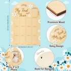 My First Year Photo Display Wood Board  3d Daisy Baby s First Year White Daisy