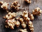 Jerusalem Artichokes Tubers Sunchokes   10 Tubers Freshly Dug  plant Or Eat